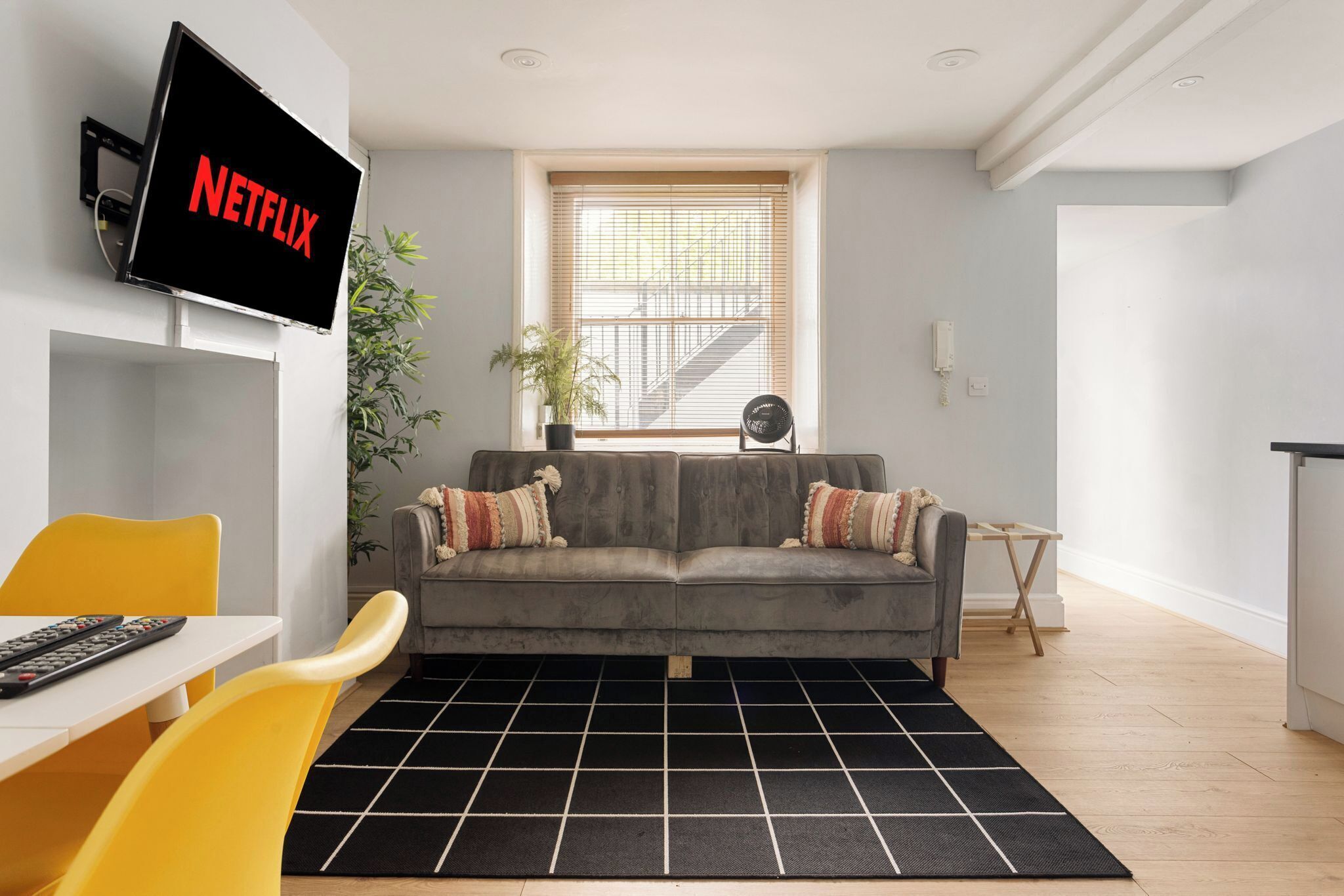 TV