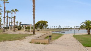 Un sendero pavimentado que conduce a una masa de agua, rodeado de palmeras y bancos.