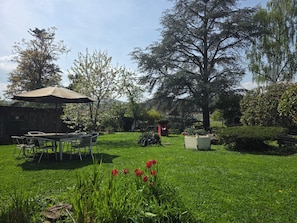 Un jardin avec une table et des chaises placées sous un espace ombragé, entouré de différents arbres et plantes.