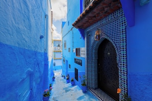 A narrow alleyway with blue-painted buildings, potted plants, and a decorative door. - Riad Seddiki (Chefchaouen)