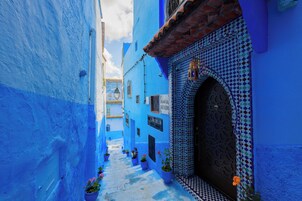 Un callejón estrecho con edificios pintados de azul, plantas en macetas y una puerta decorativa.