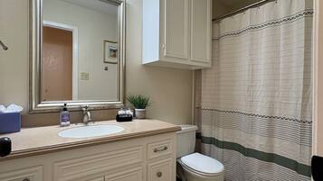 A bathroom with a sink, mirror, cabinet, toilet, and shower curtain.