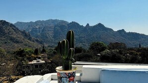 Un cactus en una maceta decorativa en una azotea, con un paisaje montañoso al fondo.