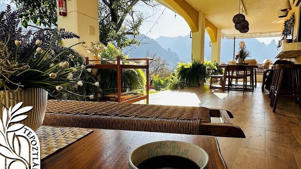 Comedor con vistas a montañas, muebles de madera y plantas en macetas.