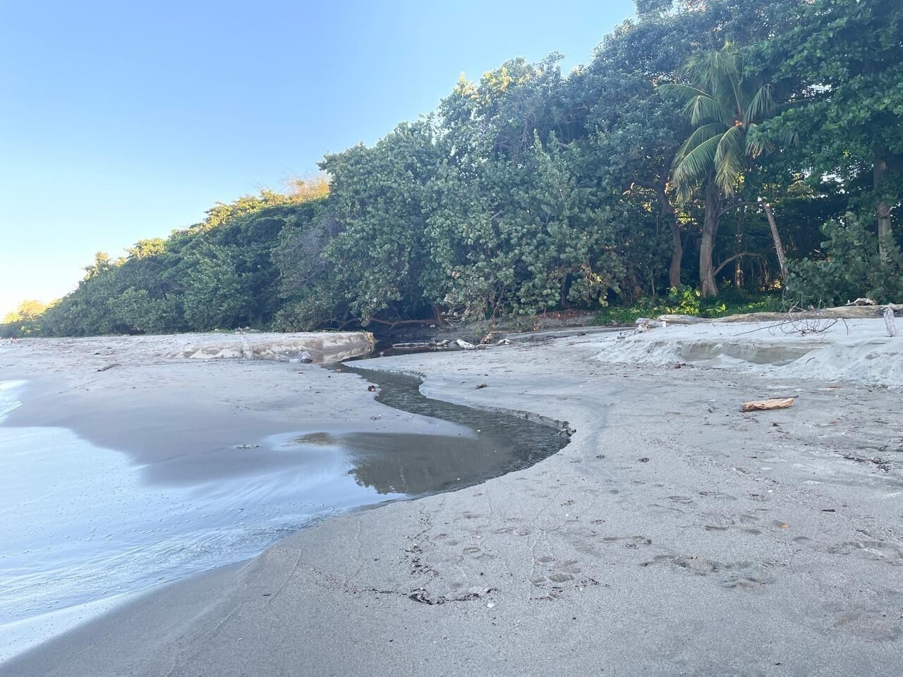 A beach with a sandy shore, a small water channel, and dense foliage in the background.