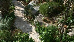 Ein gepflasterter Weg schlängelt sich durch einen Garten mit verschiedenen Pflanzen und Bäumen.