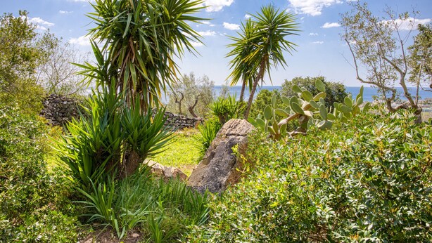 A garden with various plants and a large rock formation. - Nice stone house with sea view & outdoor whirlpool (Patù)