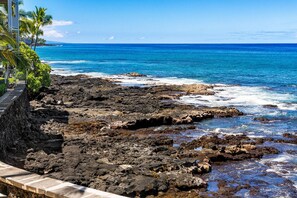Beach - Oceanfront A/C 1BR GEM ~ Whales, Dolphins & Sunsets (Kailua-Kona)
