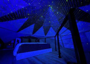 1 bedroom, iron/ironing board, free WiFi, bed sheets - Zome of the Stars: Private Lakefront AND 2 Acre Pond, Docks, Kayaks, Spa Bath (Mineola)