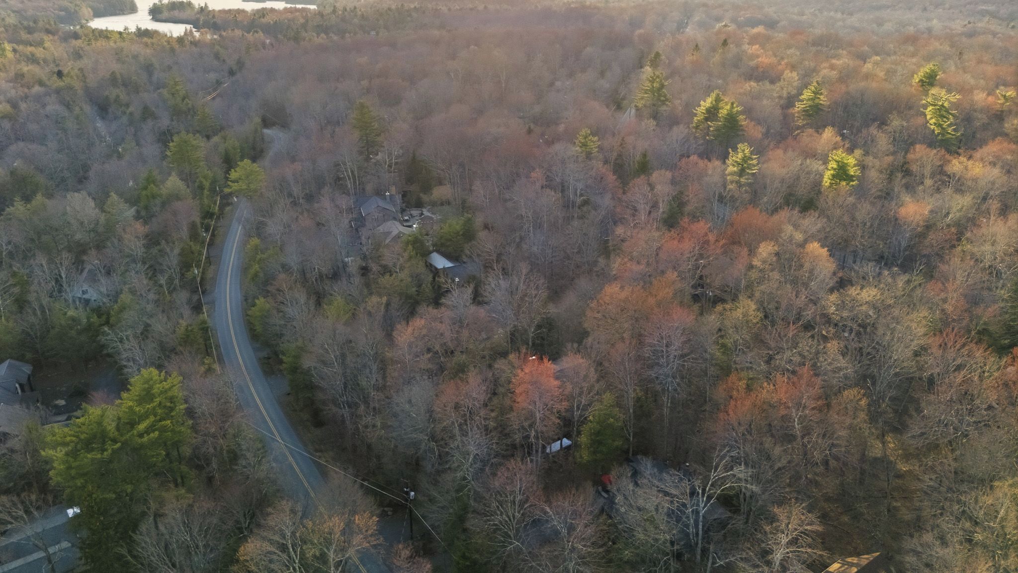 An aerial view of a forested area with a winding road and a few buildings.