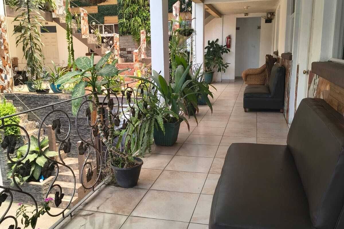 Ein überdachter Außenbereich mit einer Couch, Topfpflanzen und einem Metallgeländer.