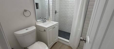 A bathroom with a toilet, sink, mirror, shower, and a door.