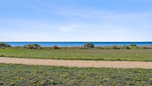 Eine Küstenlandschaft mit einem Feldweg, grünen Flächen und gelben Blumen.