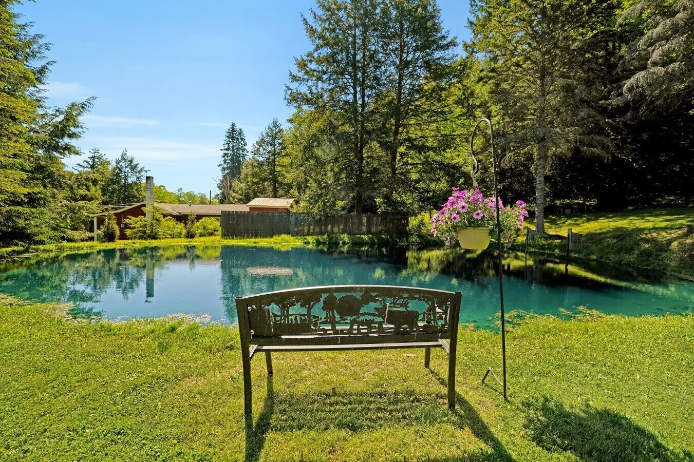 Backyard Retreat | Private Pond Views | Waterfront Seating Area