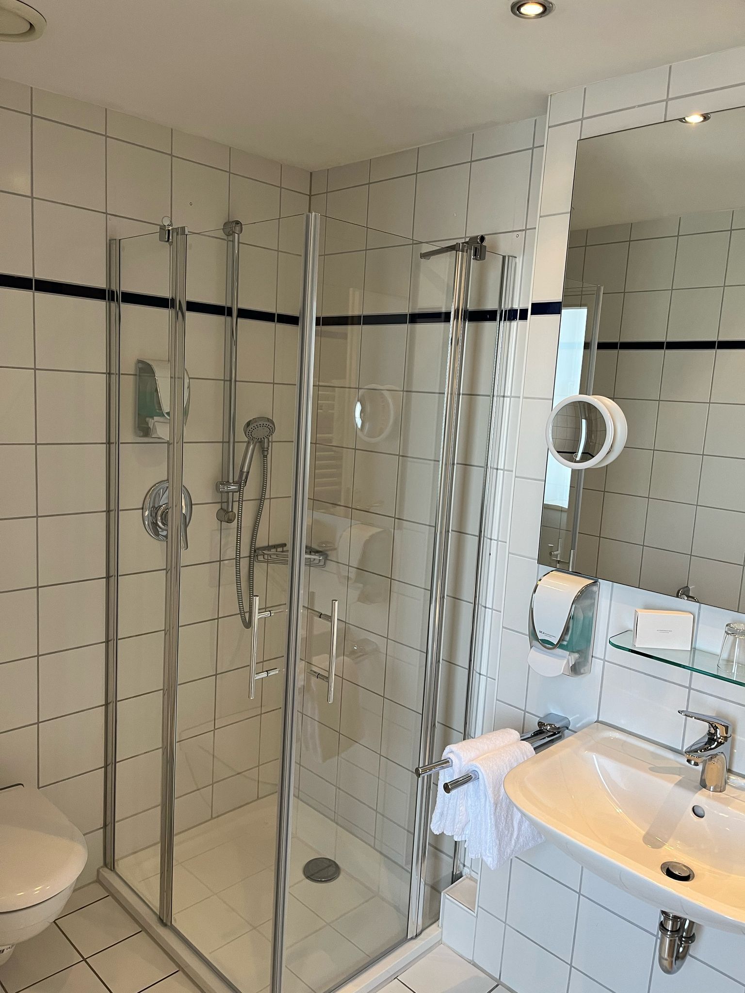 A modern bathroom with a glass-enclosed shower, a white sink, and a mirror.