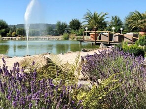 A lakeside view with a fountain, a wooden deck, and surrounding greenery.