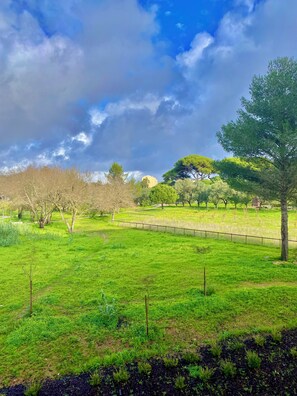 Área da propriedade