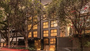 A multi-story building with large windows, a well-maintained garden, and a modern architectural design.