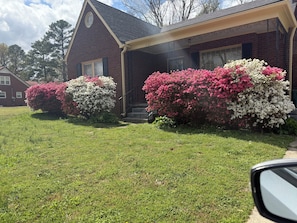 Property grounds - Fully Furnished 3BR/2BA Less than .5 mile to Hospital & University of Memphis (Jackson)