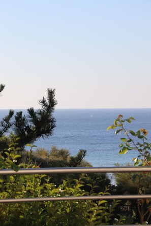A view of the ocean through foliage, with a clear sky and distant horizon. - At the gate, the family beach supervised by the SNSM. Doggies accepted (Clohars-Carnoët)