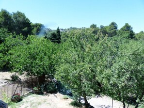Property grounds - Nine - PEYRIAC DE MER (PEYRIAC DE MER)