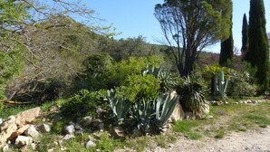 A natural landscape with a variety of vegetation, including trees and shrubs, and a rocky terrain. - Nine - PEYRIAC DE MER (PEYRIAC DE MER)