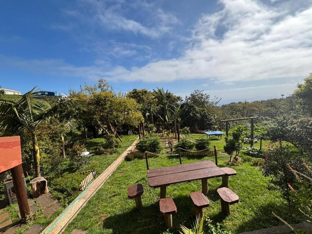 A picnic area with a table and benches, surrounded by lush greenery and trees.