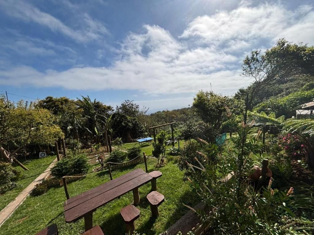 A garden with a wooden bench and a pathway.