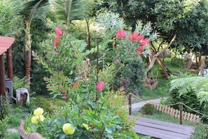Un jardín con diversas plantas y una terraza de madera.