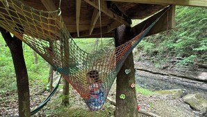 Una hamaca bajo una estructura de madera con un muro verde, rodeada de un bosque.