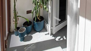 Ein Durchgang zu einem Raum mit einem Blumentopf und einem kleinen Kaktus auf dem Boden.