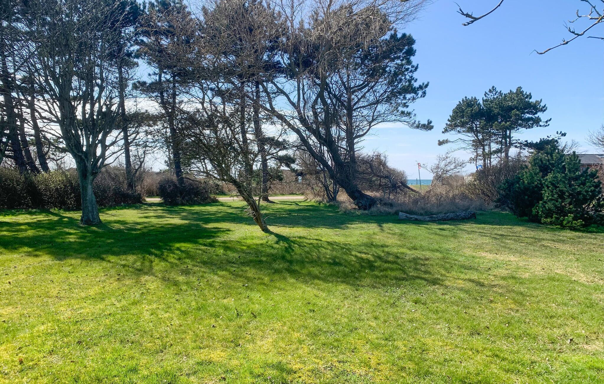 Un espace extérieur verdoyant, avec des arbres et un ciel dégagé.