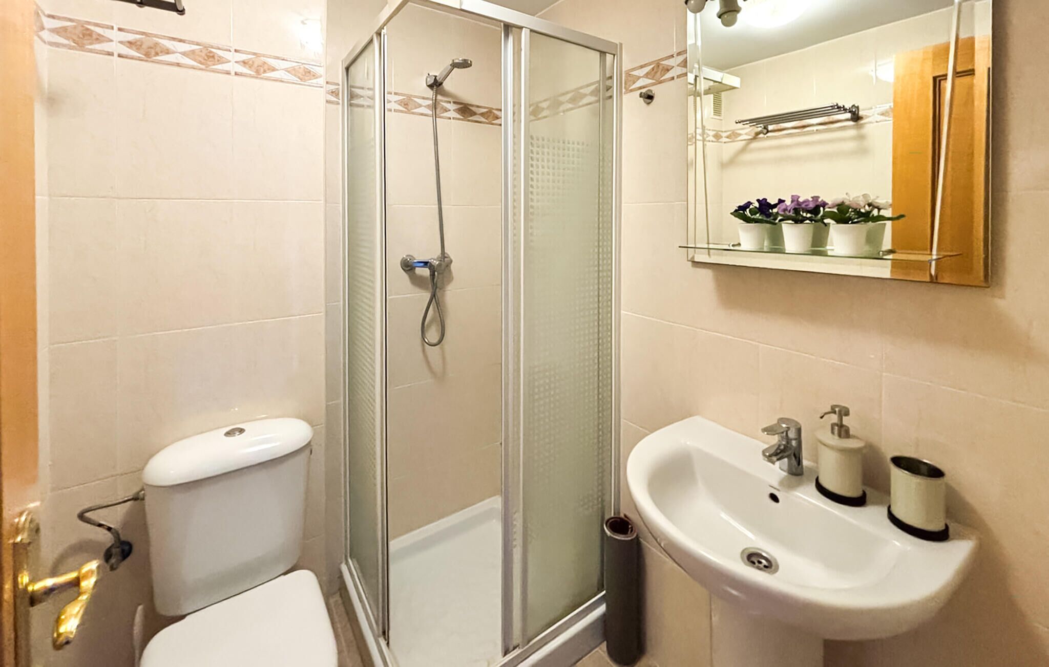 Une salle de bain avec une douche en verre, des toilettes blanches, un lavabo avec un miroir au-dessus et une étagère avec des plantes en pot.
