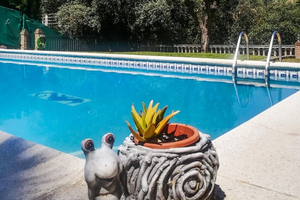 pool
