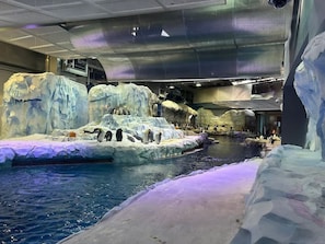 Pool - Spacious Detroit Home | Parking | Sleeps 10 (Detroit)