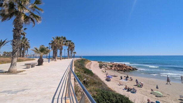 Un camino costero bordeado de palmeras que conduce a una playa de arena donde personas toman el sol y nadan.