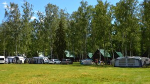 En campingplats med flera husbilar och tält, omgiven av höga träd.