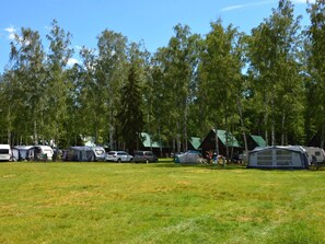A campground with multiple RVs and tents, surrounded by tall trees.