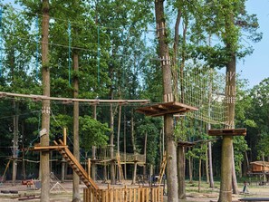Een bebost gebied met houten klimconstructies en touwen.