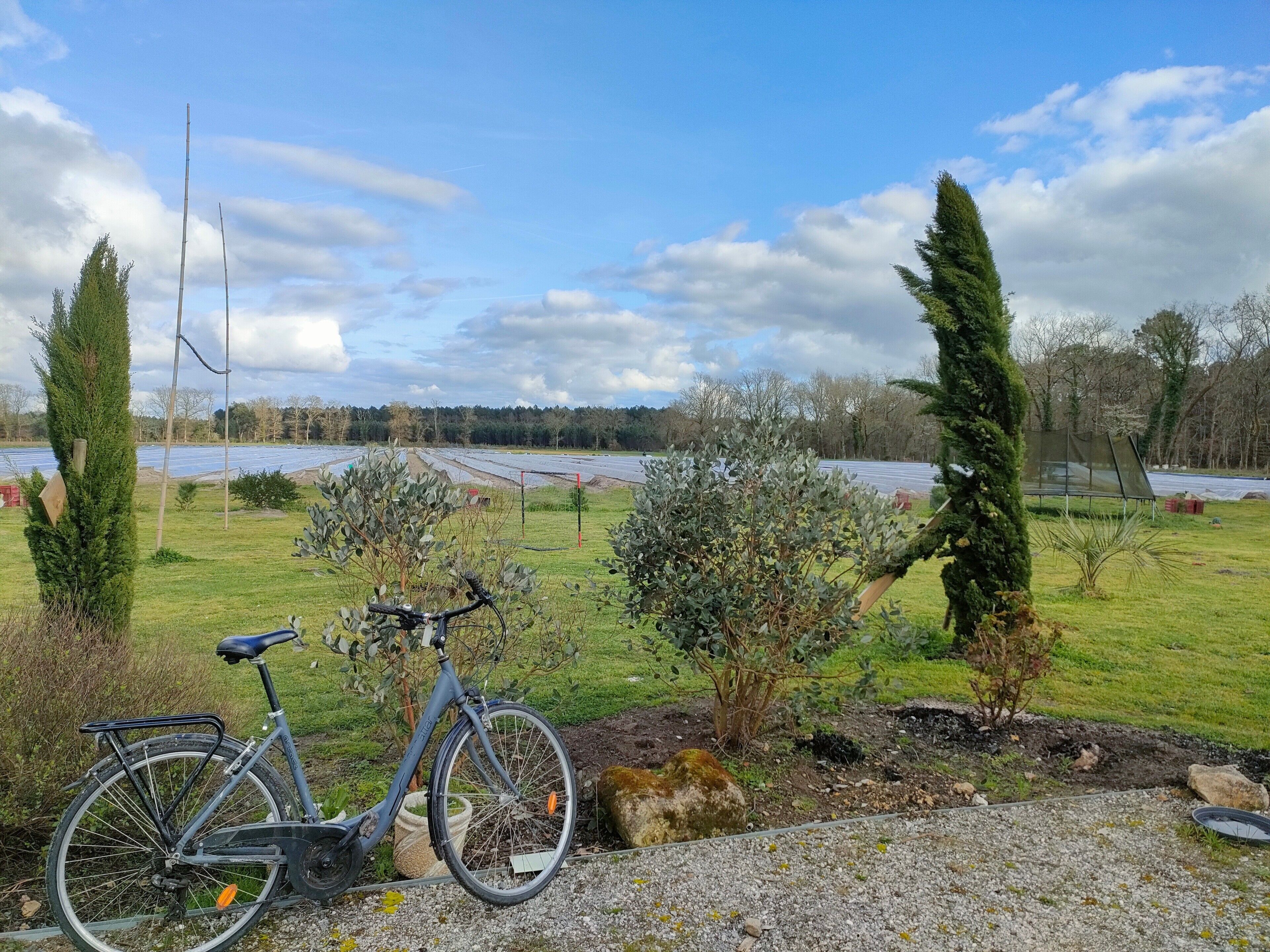 Overnatningsstedets område