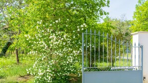 A metal gate with a decorative top, a white building, and a tree with white flowers. - "Chambre de Laluby" Room with Jacuzzi and Air Conditioning (Arx)