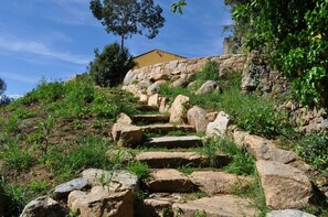 Property grounds - Farmhouse Apartment with Garden Access (Appietto)