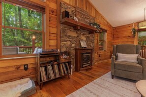 Fireplace, DVD player, books, music library - Smoky Mountain Cabin: King Bed, Hot Tub, Zero Pet Fees, 15 Minutes to Train (Whittier)