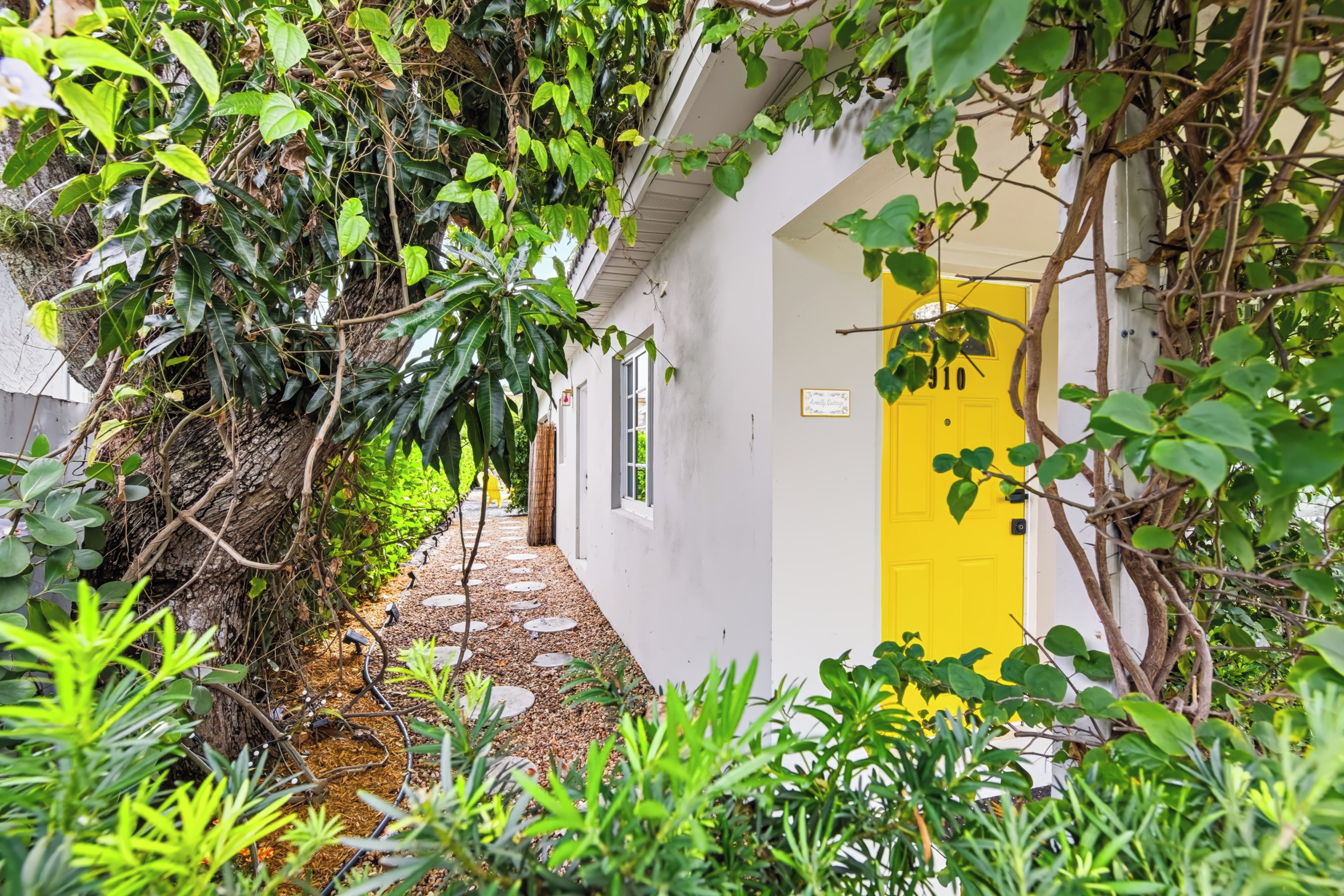A narrow pathway leading to a building with a yellow door, surrounded by lush greenery and a tree with hanging roots.