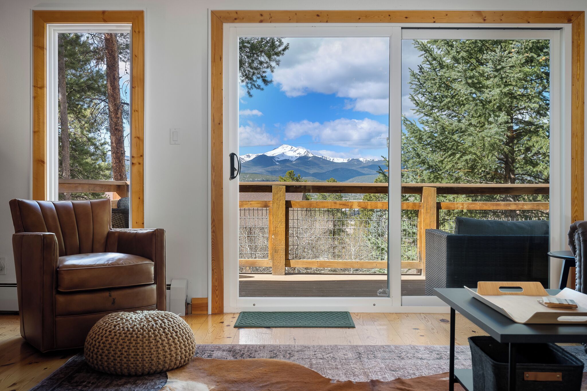 Smart TV, fireplace, books, video library