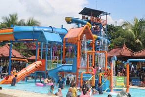 Een waterpark met meerdere glijbanen en waterattracties, omringd door palmbomen.