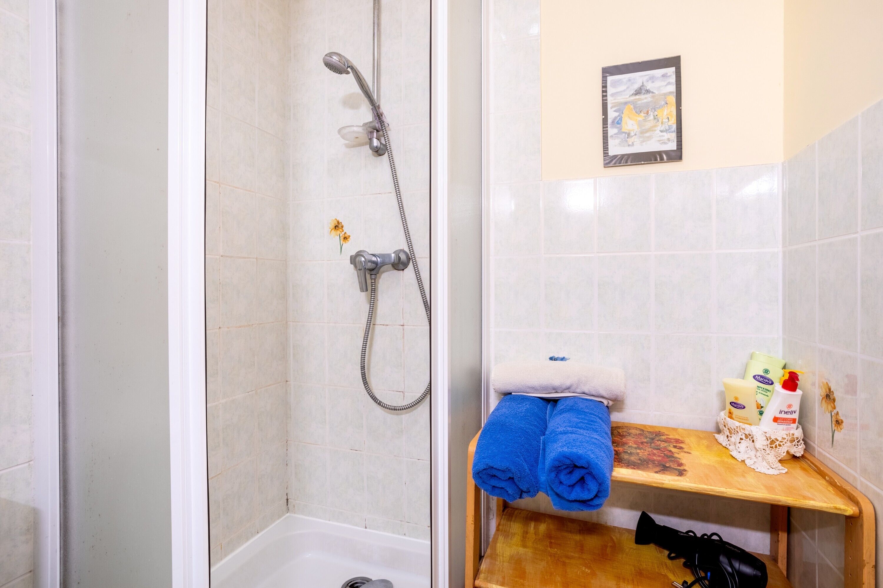 Shower, hair dryer, towels