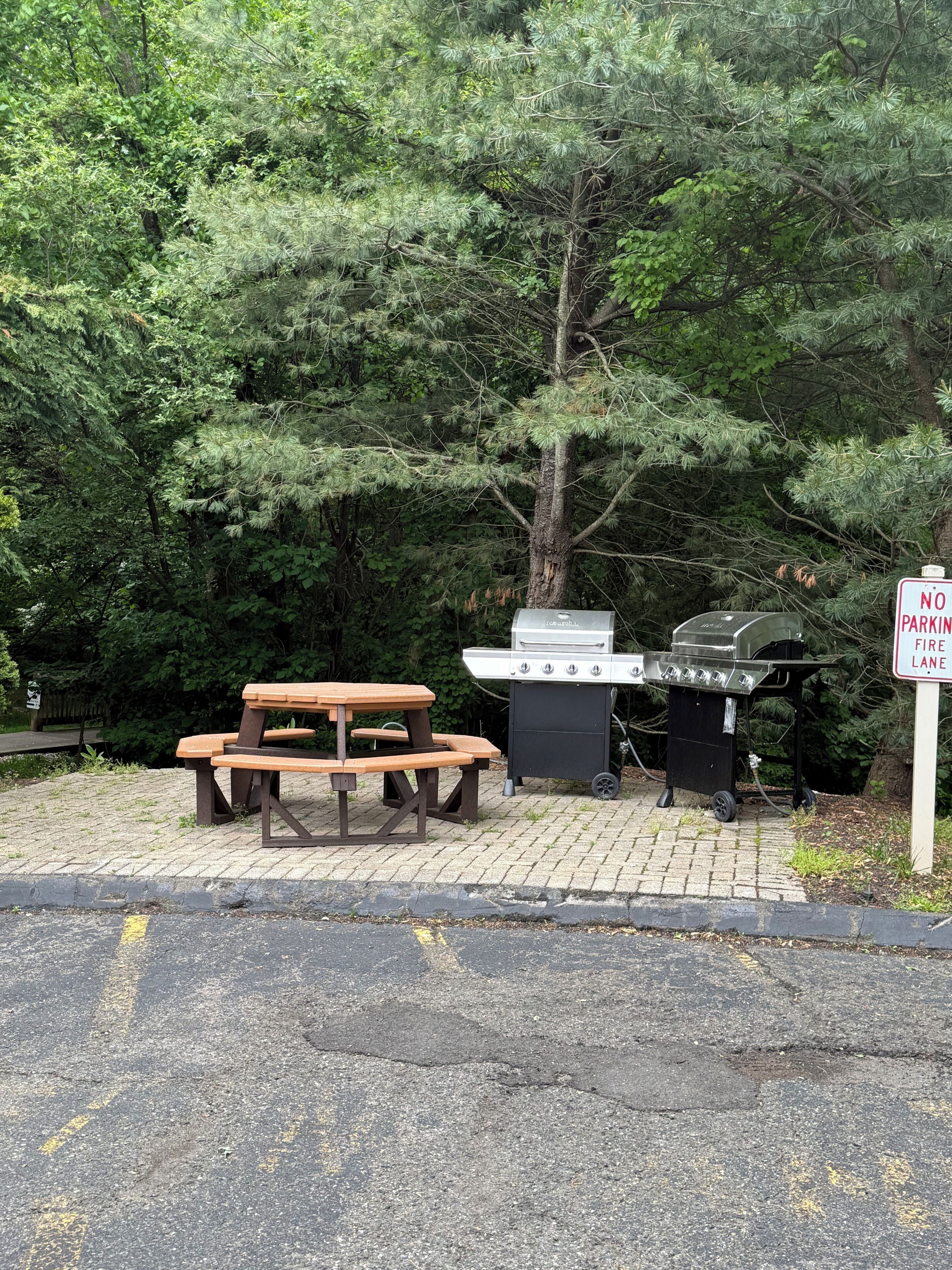 A picnic table and barbecue grill in a wooded area.