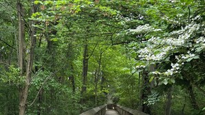Eine Holzbrücke mit einem Warnschild, das vor Rutschgefahr bei Nässe warnt.