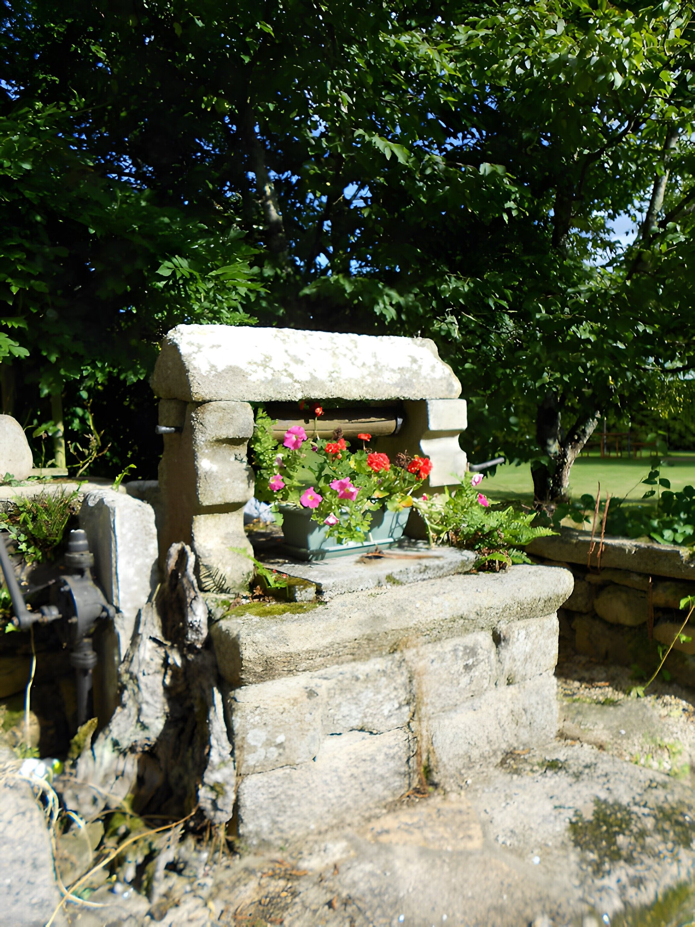 Parco della struttura